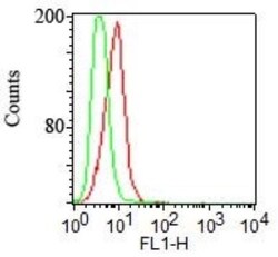 TLR2 Antibody (67N8F8) - Azide Free, Novus Biologicals:Antibodies:Primary